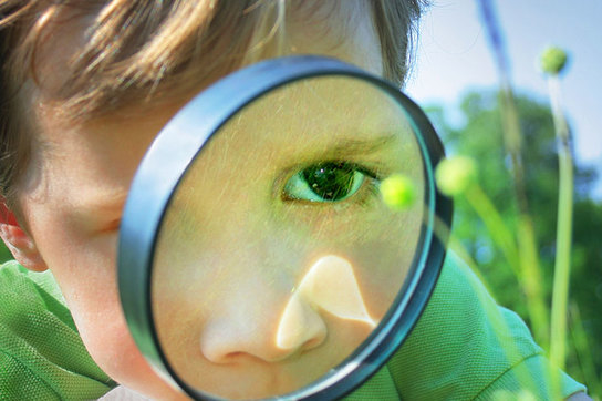 Junge untersucht Pflanzen in Biologie Nachhilfe in Berlin