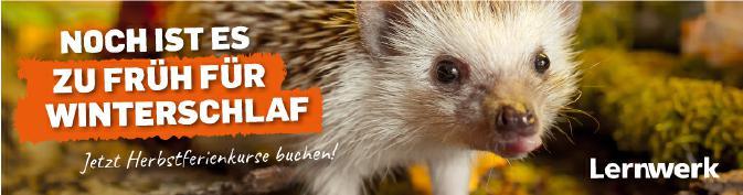 Es ist zu früh für den Winterschlaf