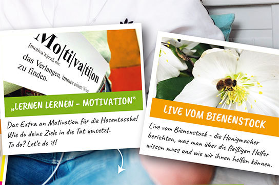 In den Sommerferien bietet das Lernwerk seinen Kunden diverse kostenfreie Livekurse an.