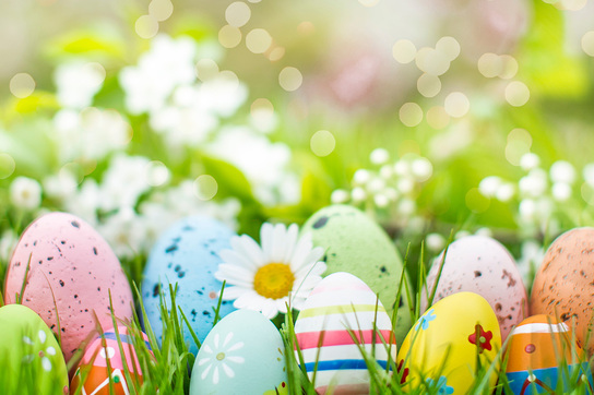 Slider Ostern 2023 1680